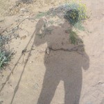 mi compañía en la ruta sombra cami de cavalls
