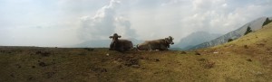 PANO_20120908_121353